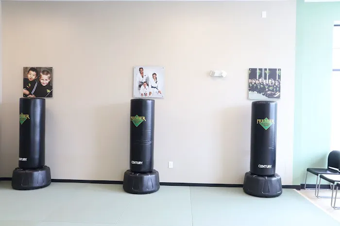 Premier Martial Arts West Cary Picture 9