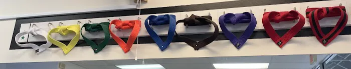 FIT Martial Arts & Physical Fitness, LLC Picture 5