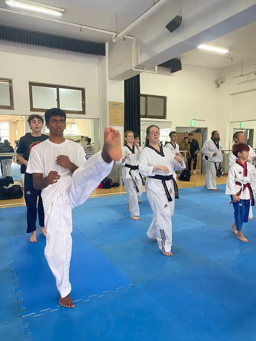 JL Taekwondo Academy Picture 6