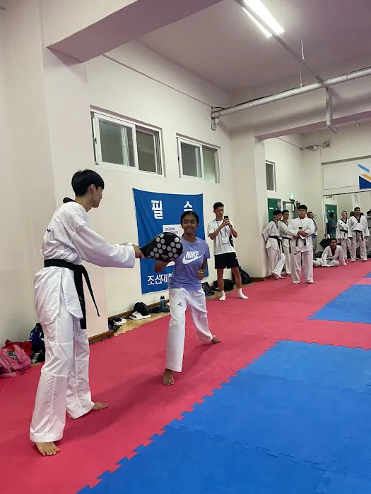 JL Taekwondo Academy Picture 8