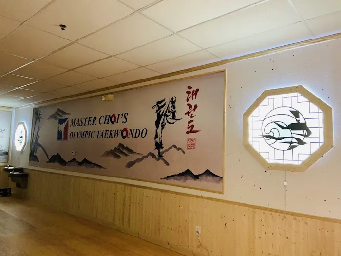 Master Choi's Olympic Taekwondo Picture 2