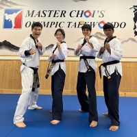 Master Choi's Olympic Taekwondo ico