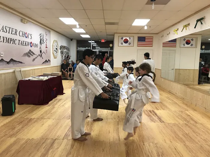 Master Choi's Olympic Taekwondo Picture 6