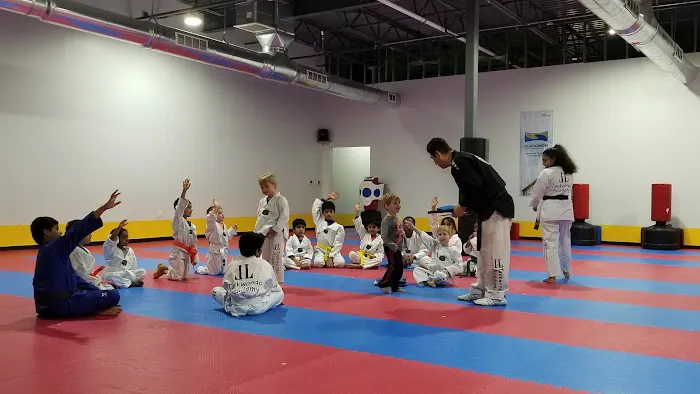 JL Taekwondo Academy Picture 3