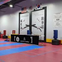 JL Taekwondo Academy ico