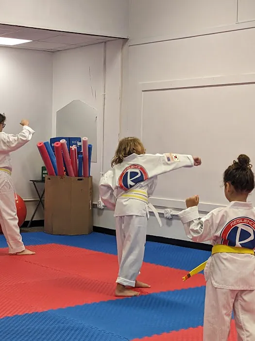Resilience Martial Arts LLC Picture 5
