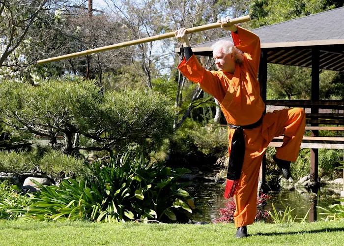 American School of Martial Arts - Wake Forest Kung Fu Inc Picture 2