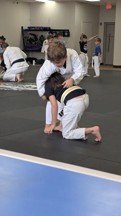 Journey Martial Arts Academy Picture 2