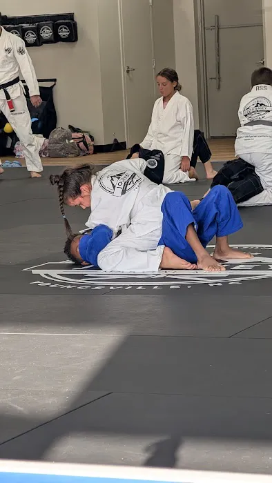 Journey Martial Arts Academy Picture 1