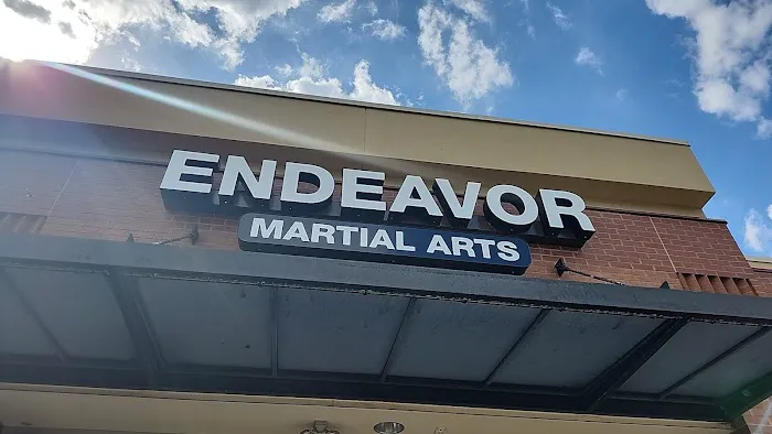 Endeavor Martial Arts - Gracie Brier Creek Picture 2
