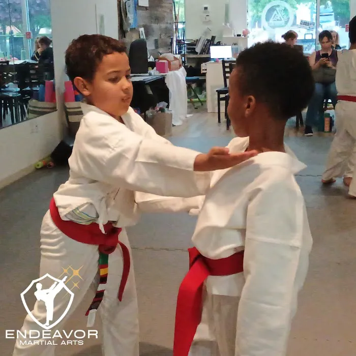 Endeavor Martial Arts - Gracie Brier Creek Picture 4