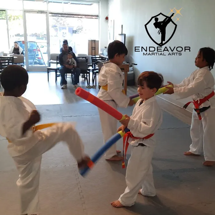 Endeavor Martial Arts - Gracie Brier Creek Picture 6