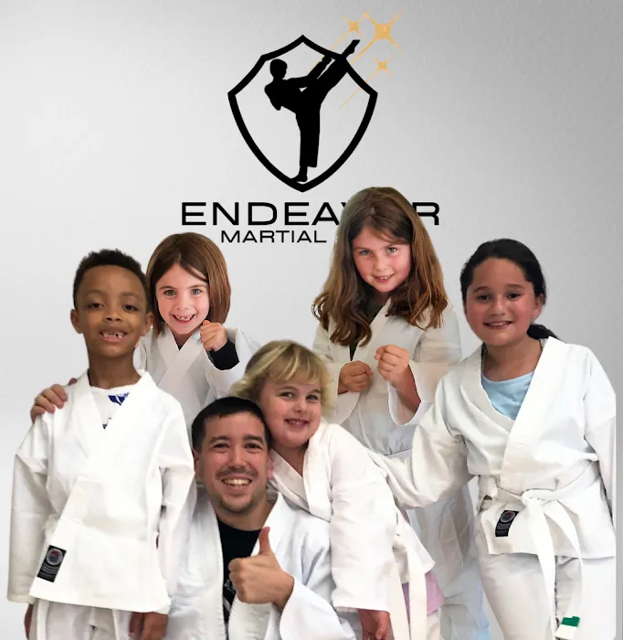 Endeavor Martial Arts - Gracie Brier Creek Picture 7