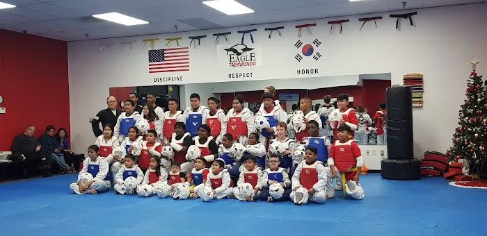 eagle taekwondo takes martial arts training to new heights Picture 2