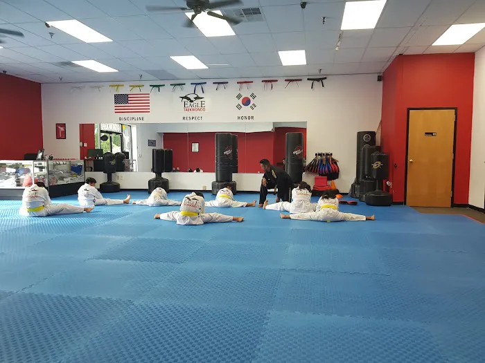 eagle taekwondo takes martial arts training to new heights Picture 1