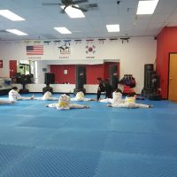 eagle taekwondo takes martial arts training to new heights ico