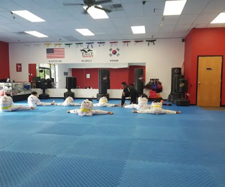 eagle taekwondo takes martial arts training to new heights