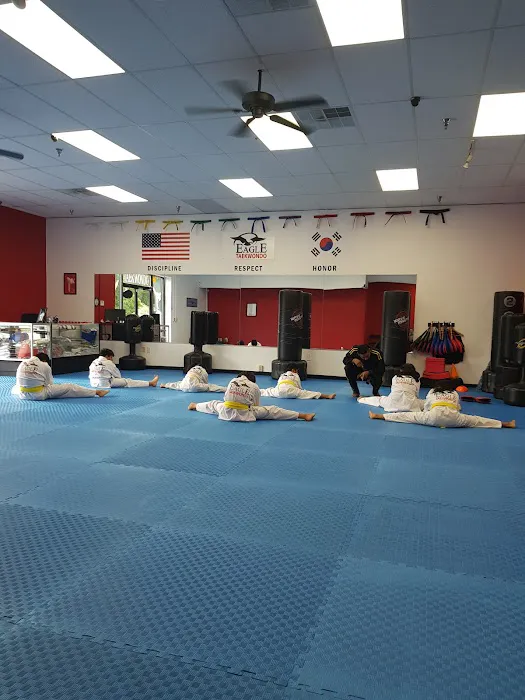eagle taekwondo takes martial arts training to new heights Picture 3