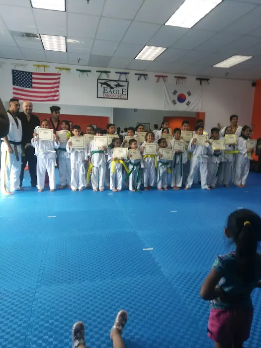 eagle taekwondo takes martial arts training to new heights Picture 6