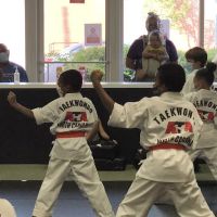 ATA Black Belt & Academy ico