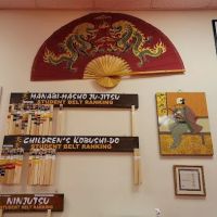 Southern School of Martial Arts and Rivers Edge Bujinkan Dojo ico