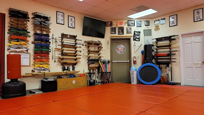 Southern School of Martial Arts and Rivers Edge Bujinkan Dojo Picture 4