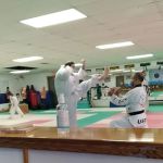 GM Myong Sok Namkung-Mayes Taekwondo Center