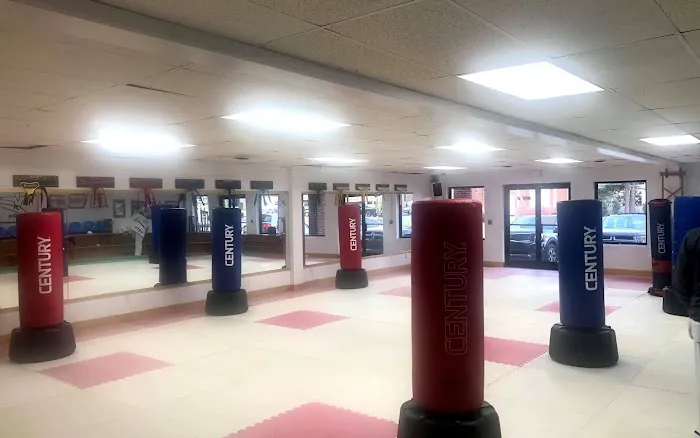 GM Myong Sok Namkung-Mayes Taekwondo Center Picture 4