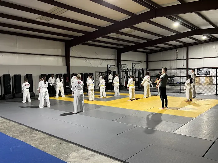 Elite Athletics Picture 7