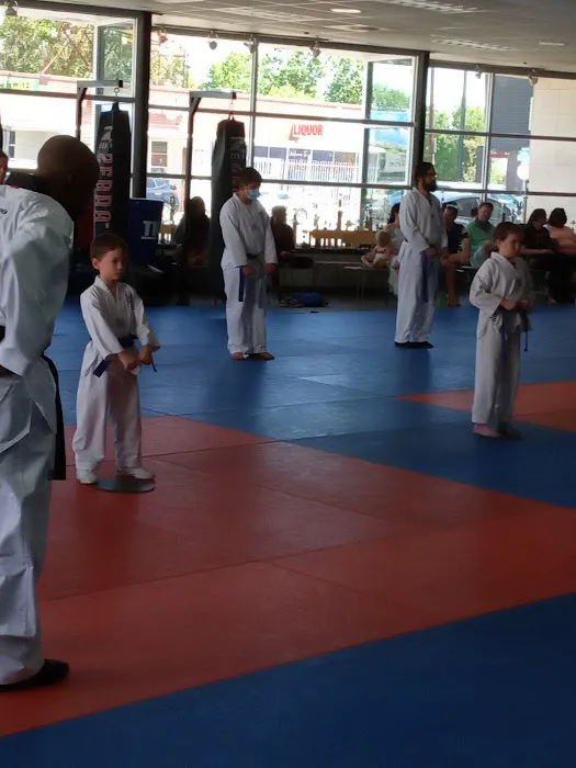 King Tiger Academy Picture 4