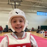 Partners Taekwondo Wilson ico