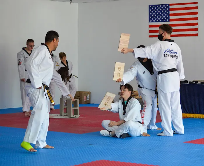 Partners Taekwondo Wilson Picture 3