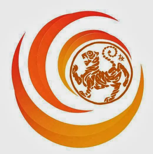 Showstoppers Martial Arts Picture 3