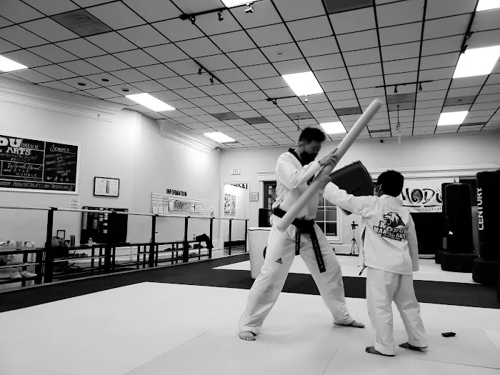 Modu Martial Arts School Picture 8