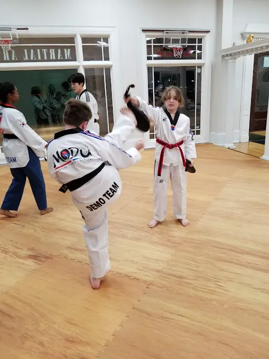 Modu Martial Arts School Picture 7