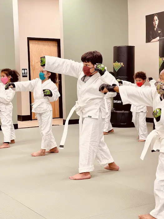 Premier Martial Arts Chapel Hill Picture 10