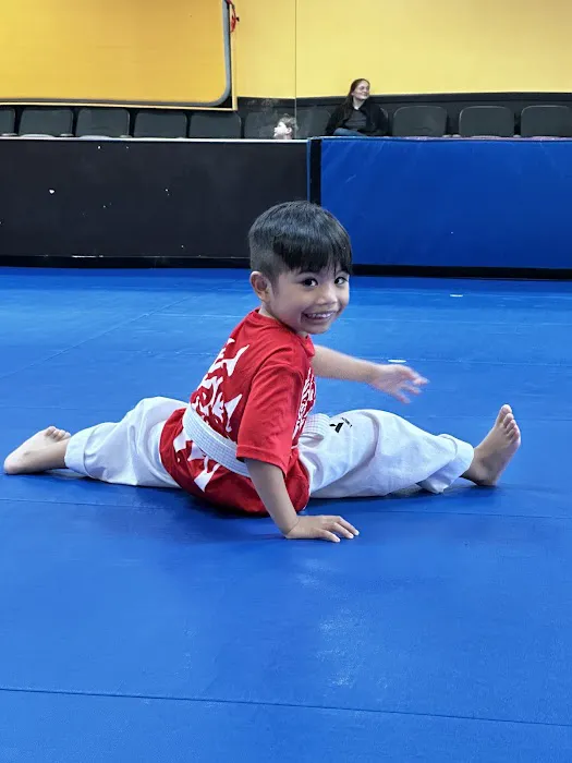 Master Chang's Martial Arts Chapel Hill Picture 3