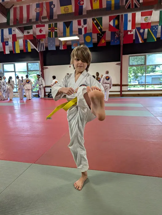 United Tae Kwon Do Academy of Chapel Hill & Carrboro Picture 3