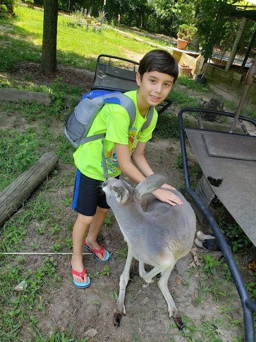 Ryu's Taekwondo NC Picture 9