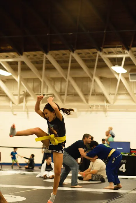 Martial Arts of NC Picture 5