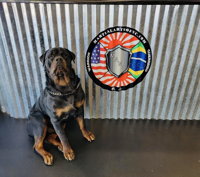 Martial Arts of NC Picture 7