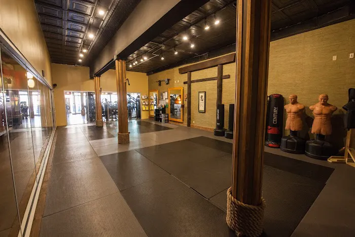 Elevo Dynamics Picture 5