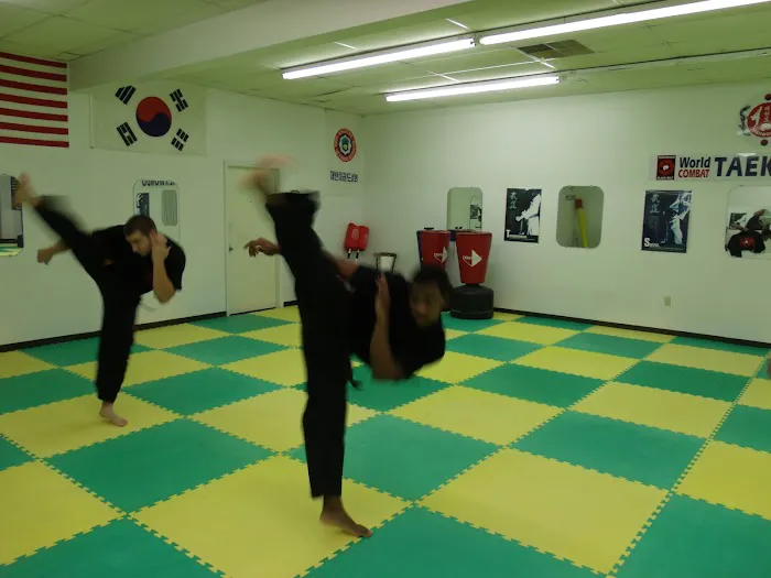 World Combat Taekwondo Picture 1