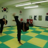 World Combat Taekwondo ico