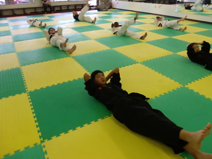 World Combat Taekwondo Picture 3