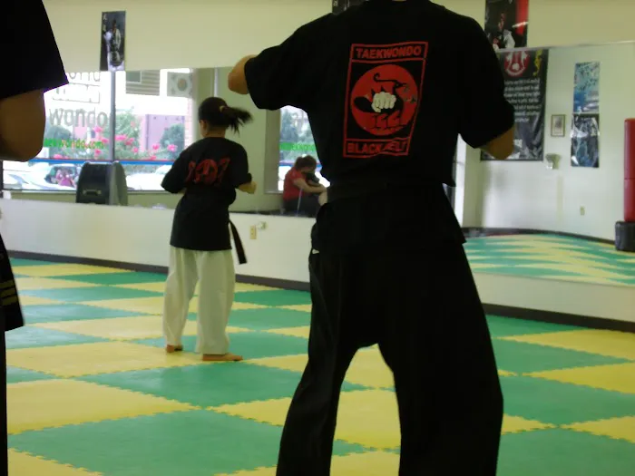 World Combat Taekwondo Picture 4
