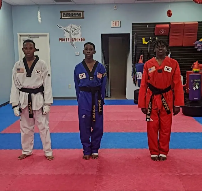 Pro Taekwondo Picture 2