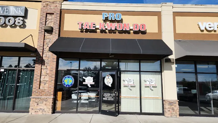 Pro Taekwondo Picture 5