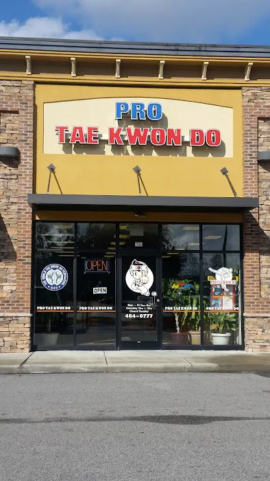 Pro Taekwondo Picture 7