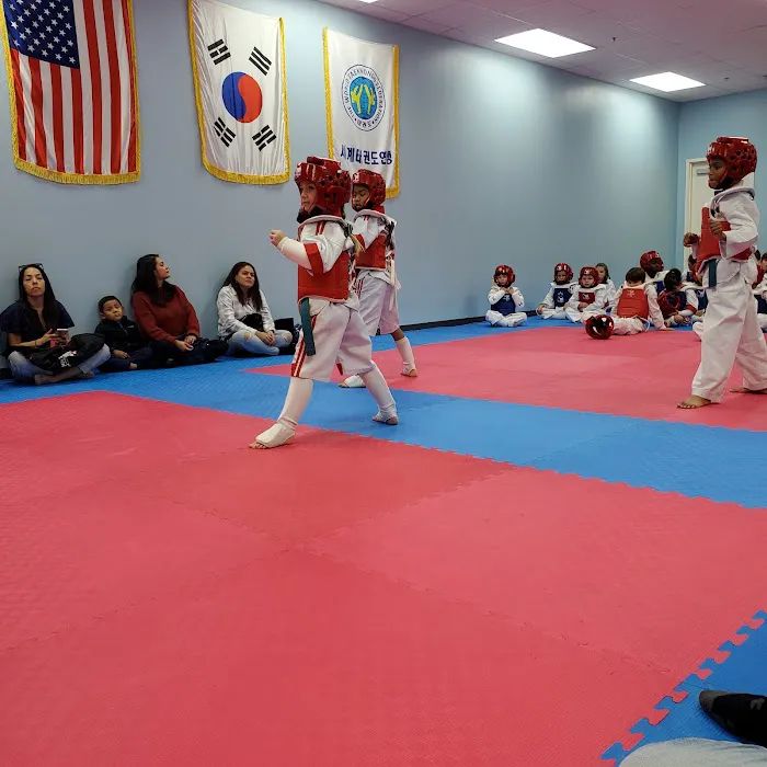 Pro Taekwondo Picture 8